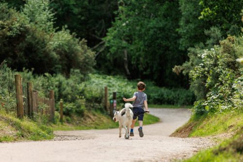 Boy with Dog